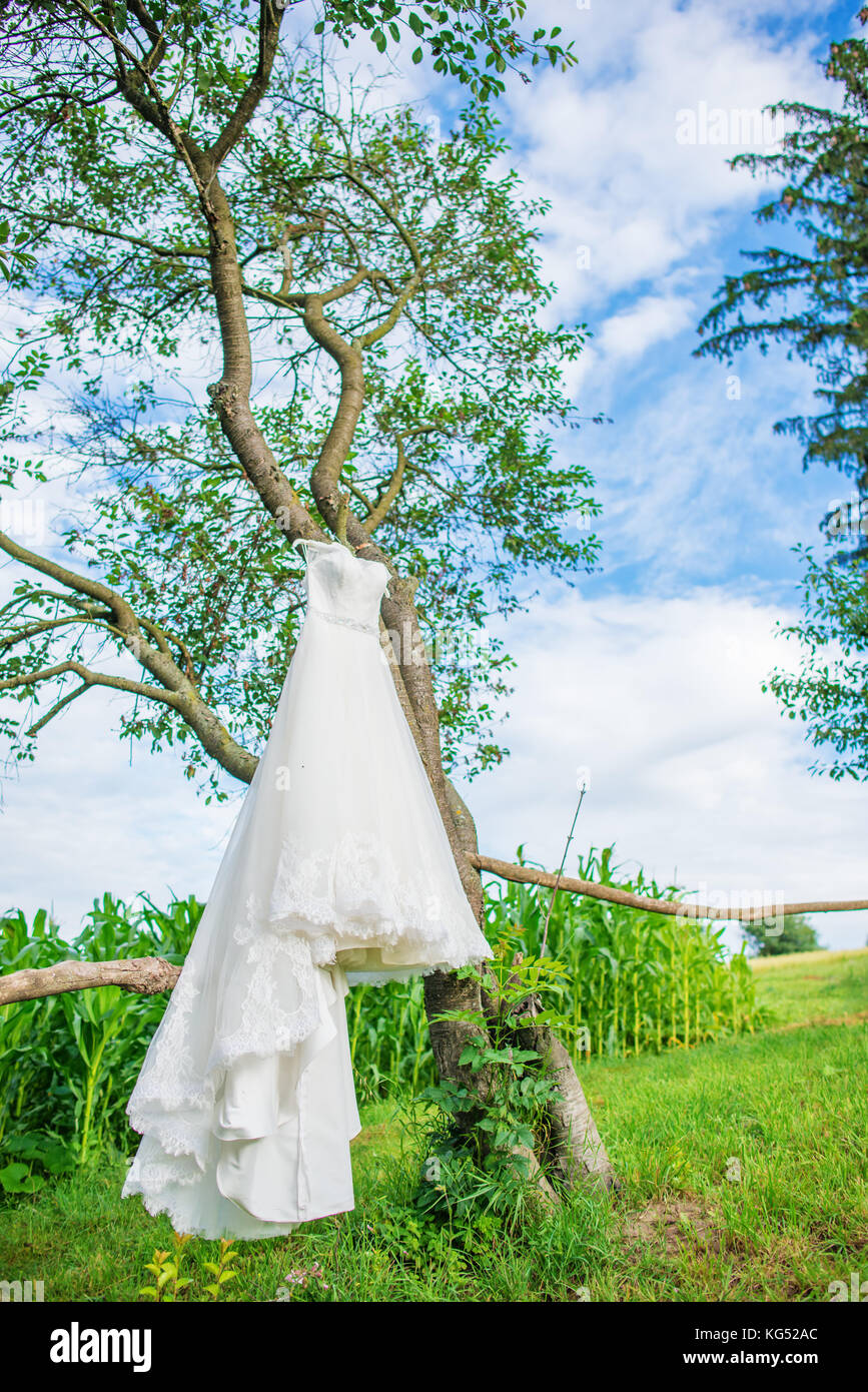 White wedding dress and hanging on a tree in the park Stock Photo - Alamy