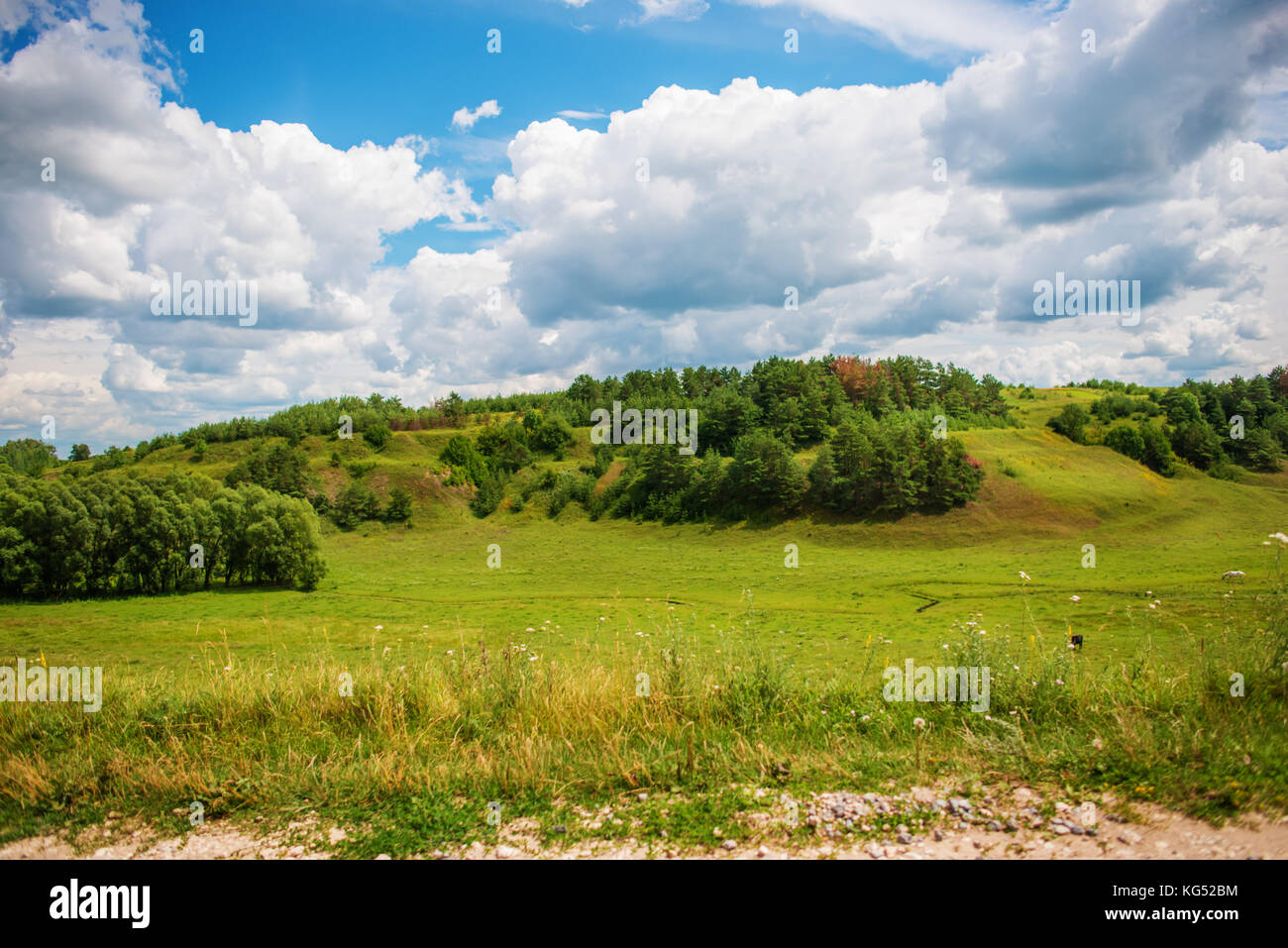 Green grass field on small hills and blue sky with clouds Stock Photo ...