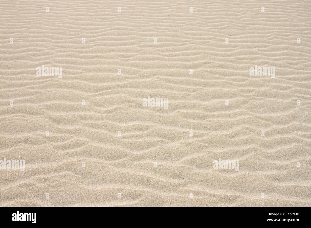 Textured surface rippled smooth sandy hi-res stock photography and ...