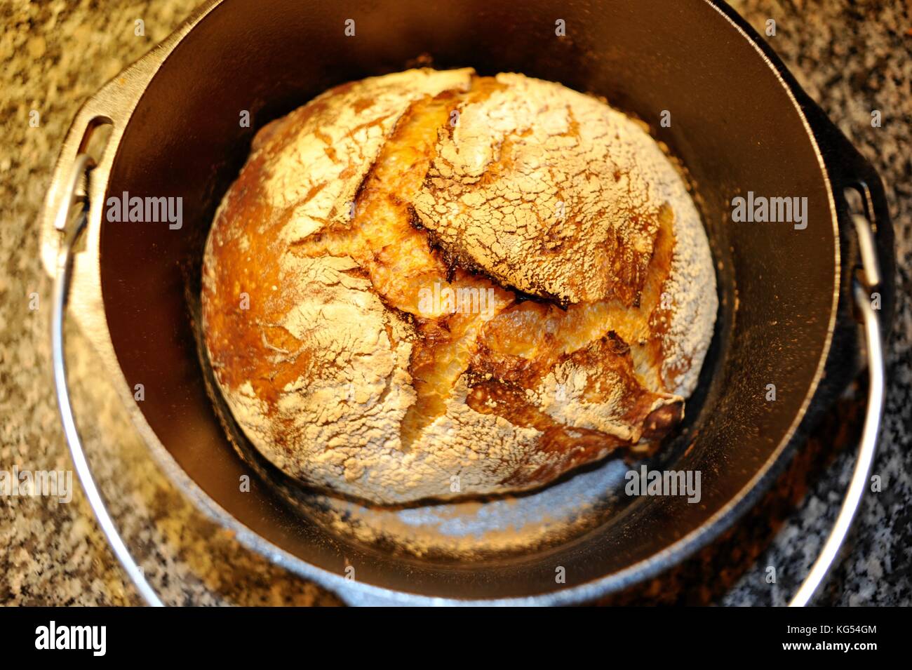 https://c8.alamy.com/comp/KG54GM/fresh-crusty-loaf-of-artisanal-homemade-bread-baked-in-a-lodge-dutch-KG54GM.jpg