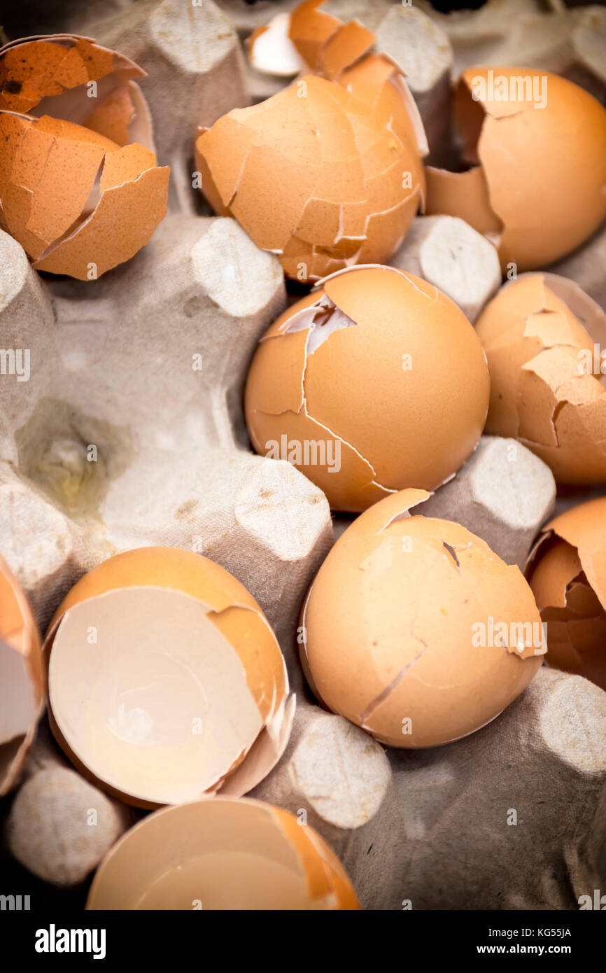Broken eggshells in cardboard tray Stock Photo Alamy