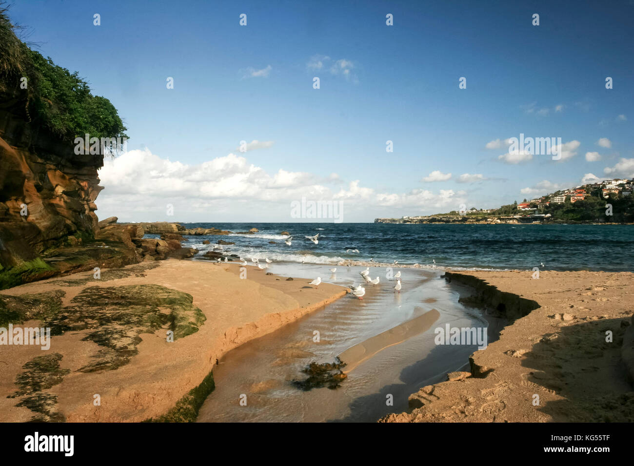 Coogee beach with gulls, cliffs and blue sky, Sydney, Australia Stock Photo