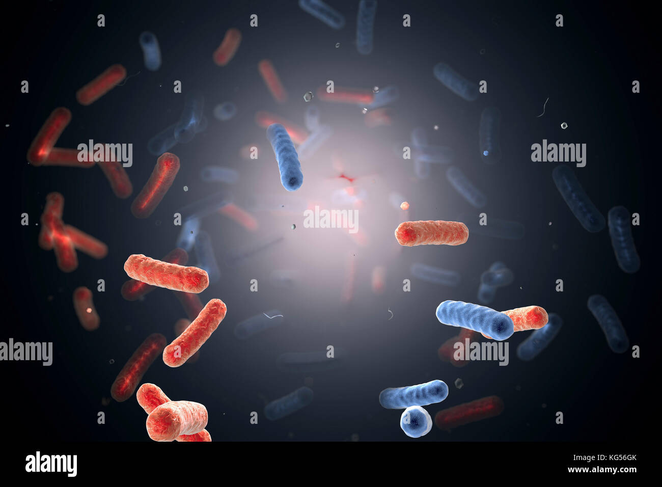 Bacteria in water, computer illustration. Bacteria can be a potential