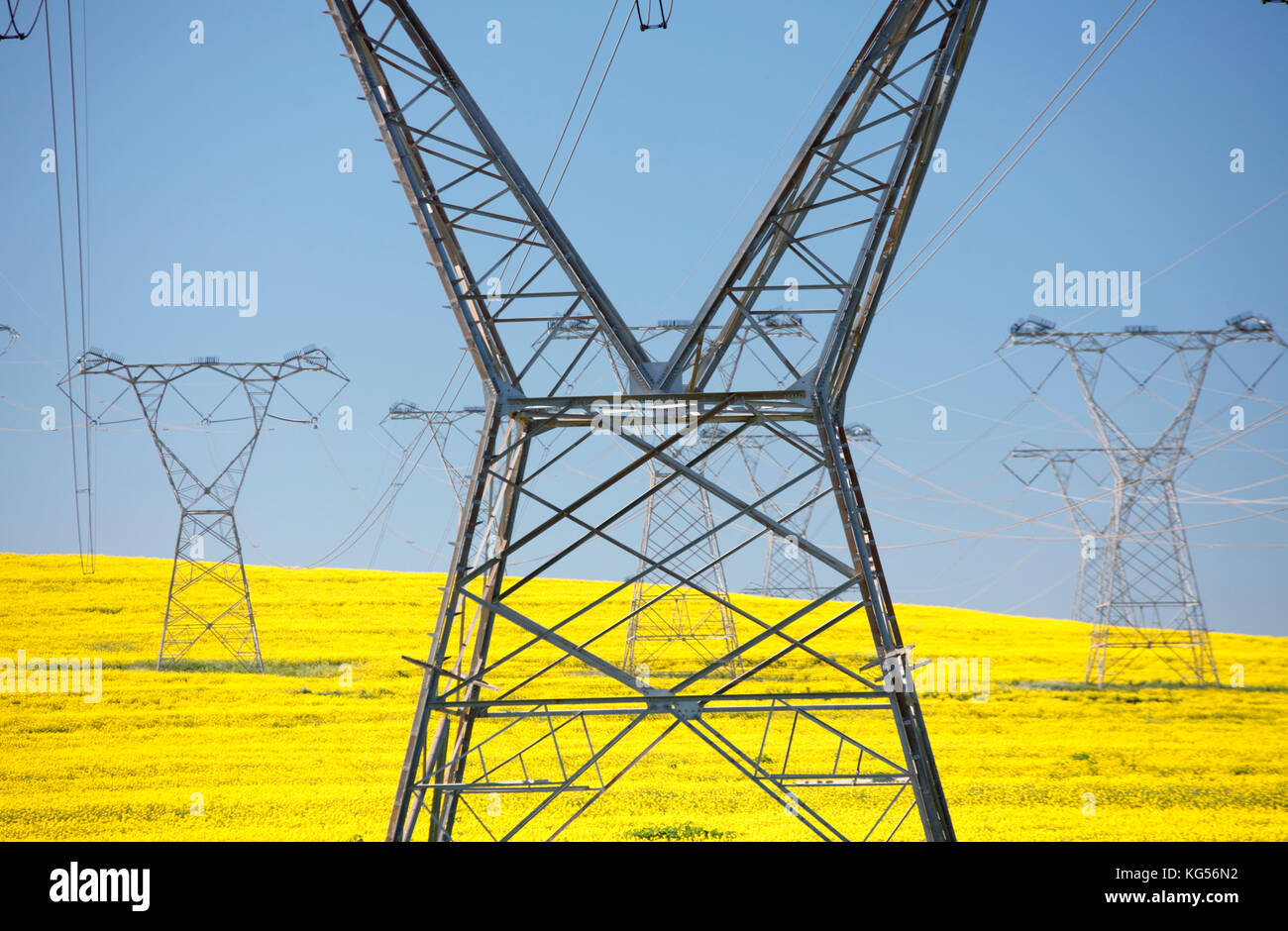 Electricity pylons, Western Cape, South Africa Stock Photo Alamy