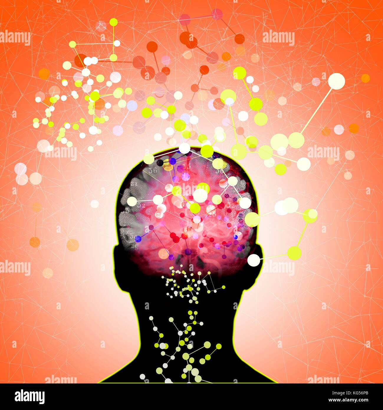 Human head with connecting lines and dots, illustration. Stock Photo