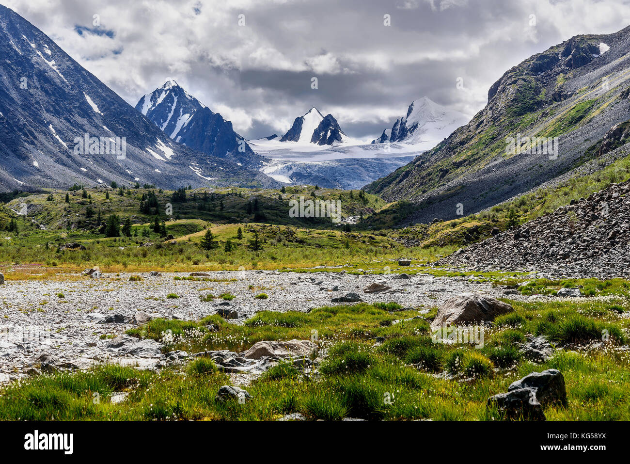 Beautiful view with mountains, pointed snowy peaks, glacier and white fluffy flowers of Eriophorum on stones against the background of a cloudy sky in Stock Photo