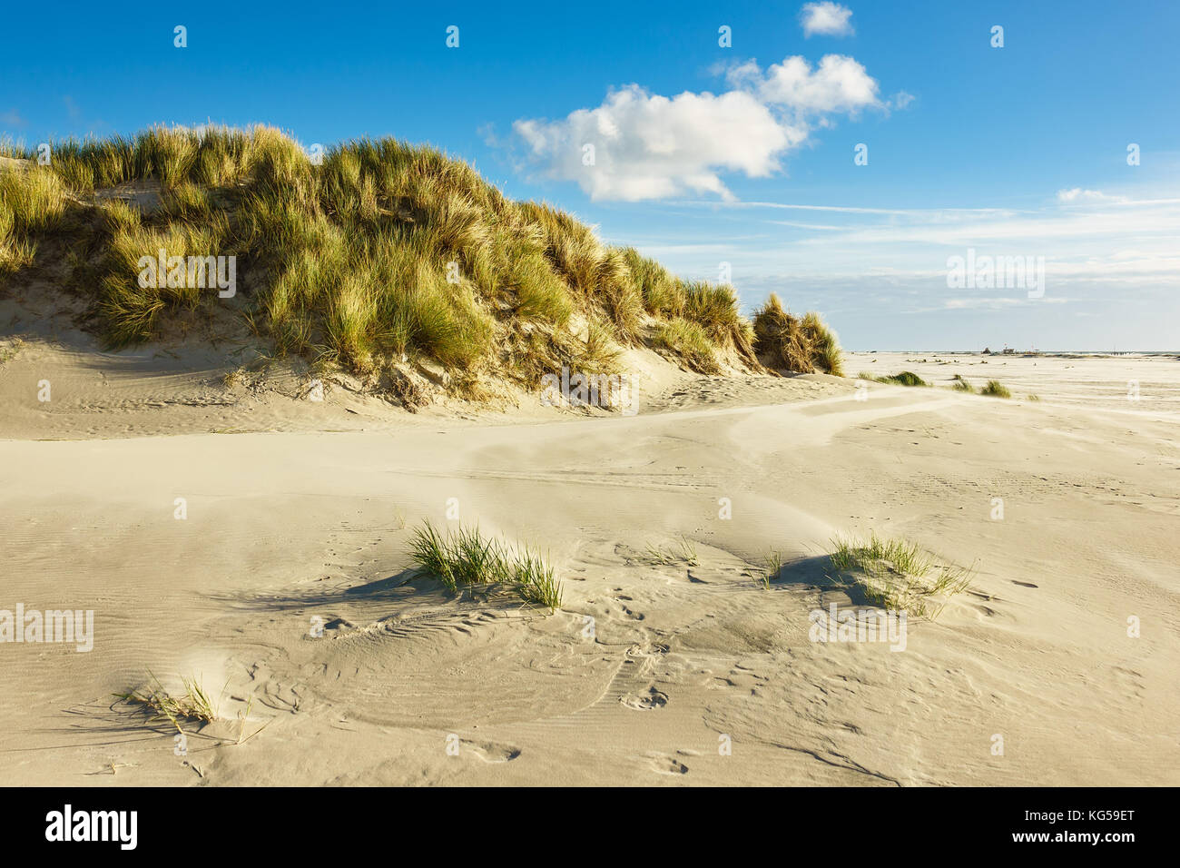 Dunes on the North Sea coast on the island Amrum, Germany. Stock Photo