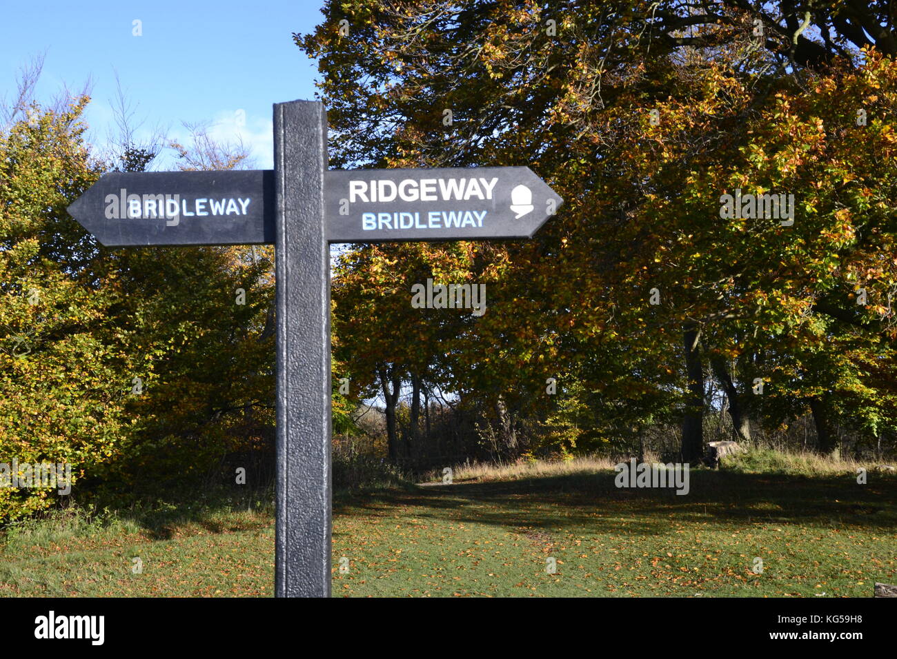 Ridgeway Bridleway sign, on The Ridgeway Path, Whiteleaf Hill. Whiteleaf Woods. Autumn, Chilterns, UK Stock Photo