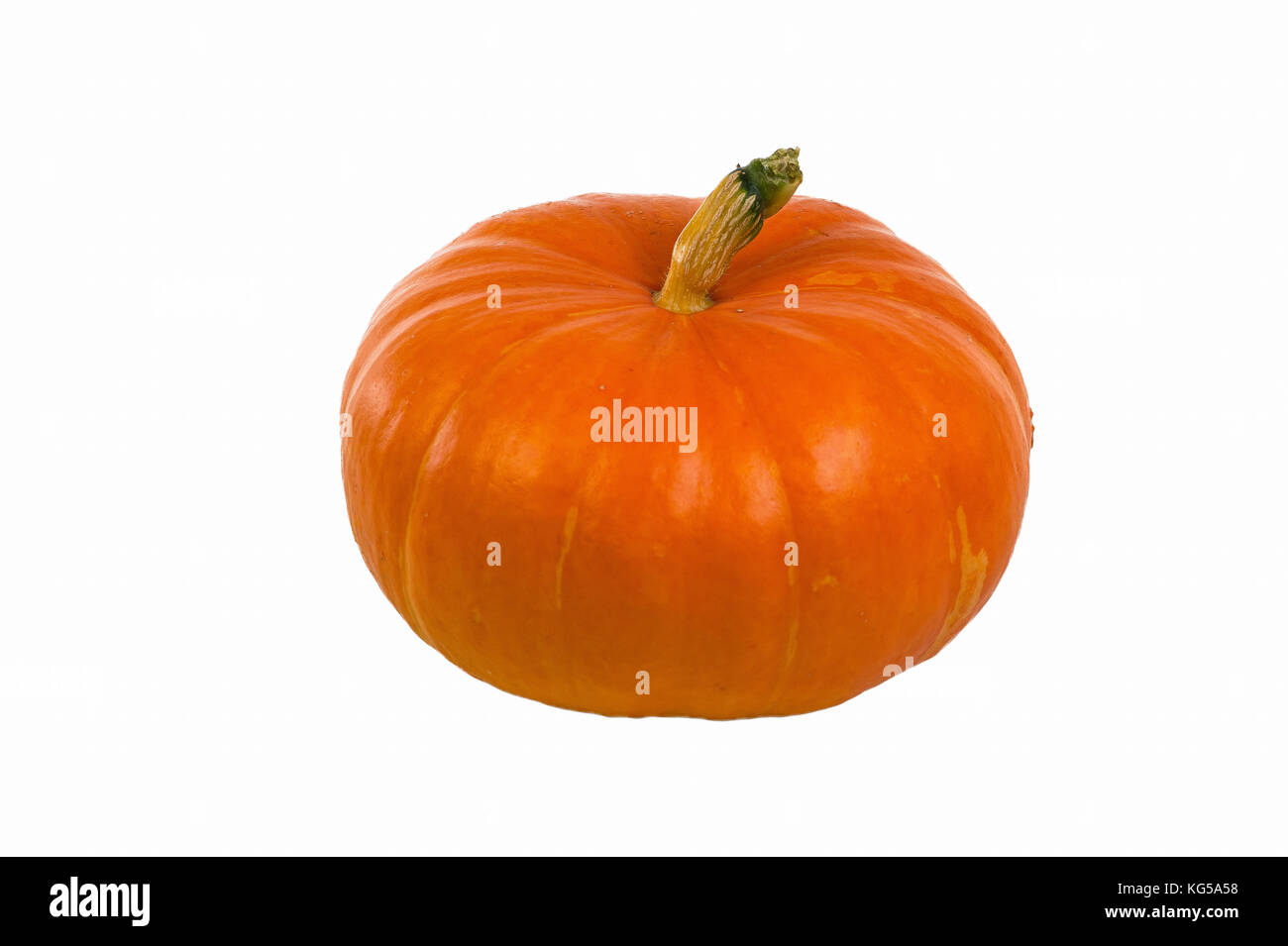Pumpkin on white background. Fresh and orange France Stock Photo Alamy