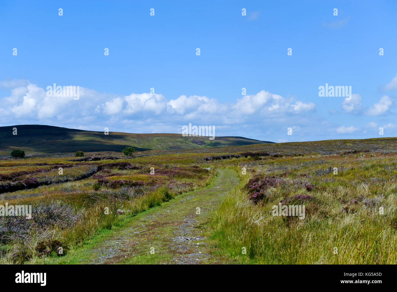 Cuilcagh Mountain Park on the border between County Fermanagh and  Co Cavan, Ireland Stock Photo