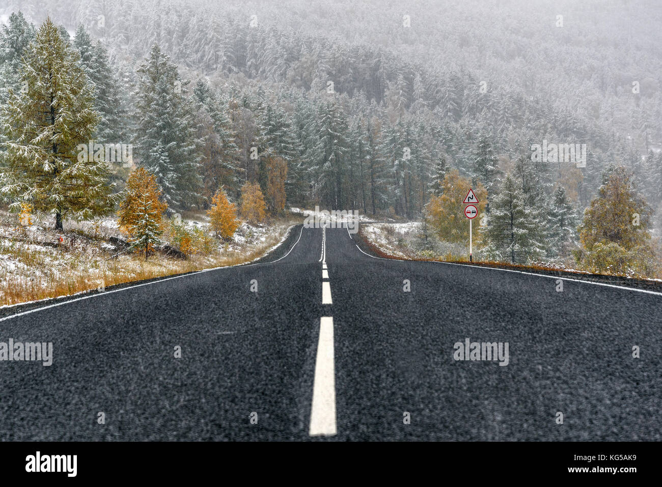 Asphalt road through the forest hi-res stock photography and images - Alamy