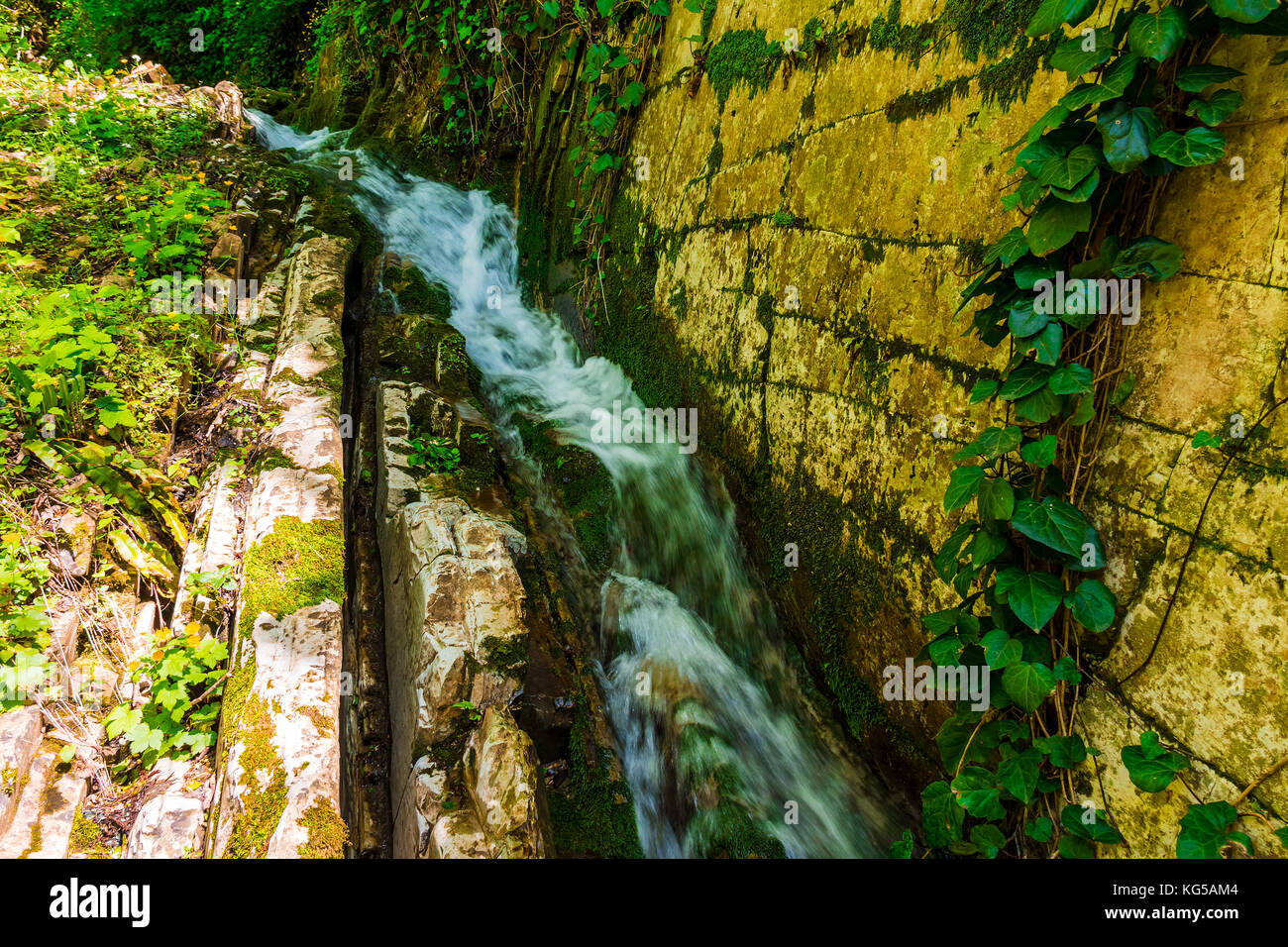 Little waterfall and the steep wall with ivy in the park Berendeyevo Tsarstvo in sunny summer day, Sochi, Russia Stock Photo