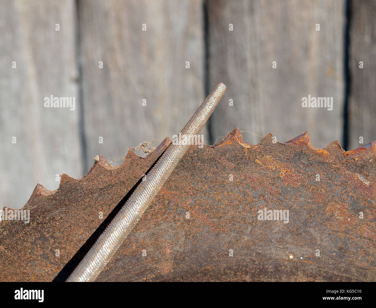 Circle saw teeth sharpening by round file close up Stock Photo