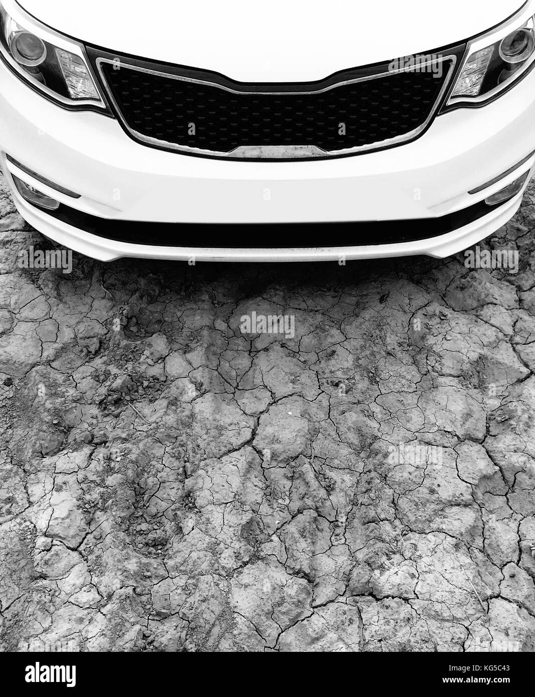 Modern car hood and headlights closeup Stock Photo Alamy