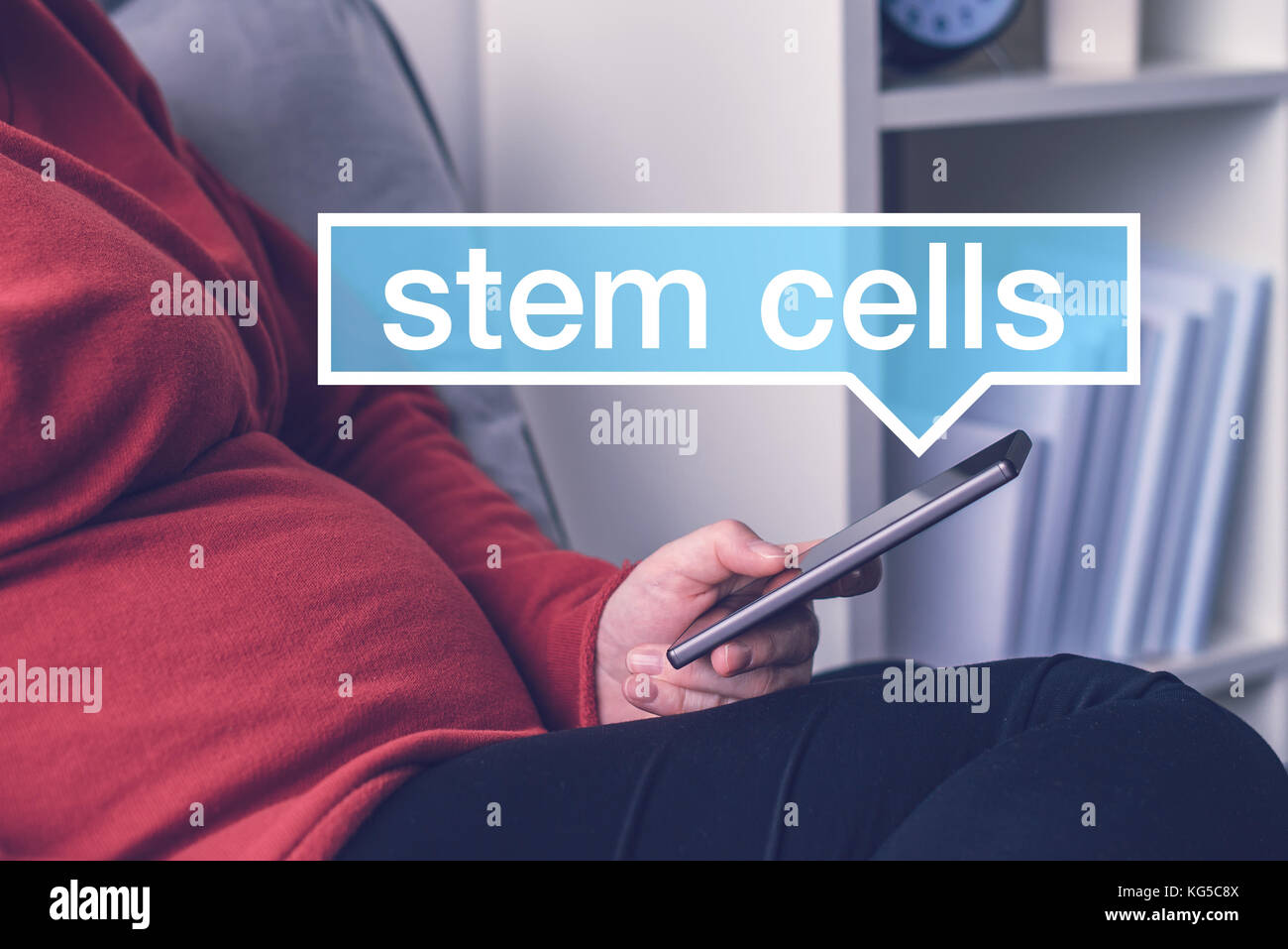 Pregnant woman searching internet for stem cells on mobile phone. Adult caucasian female during pregnancy using smartphone to get informed. Stock Photo