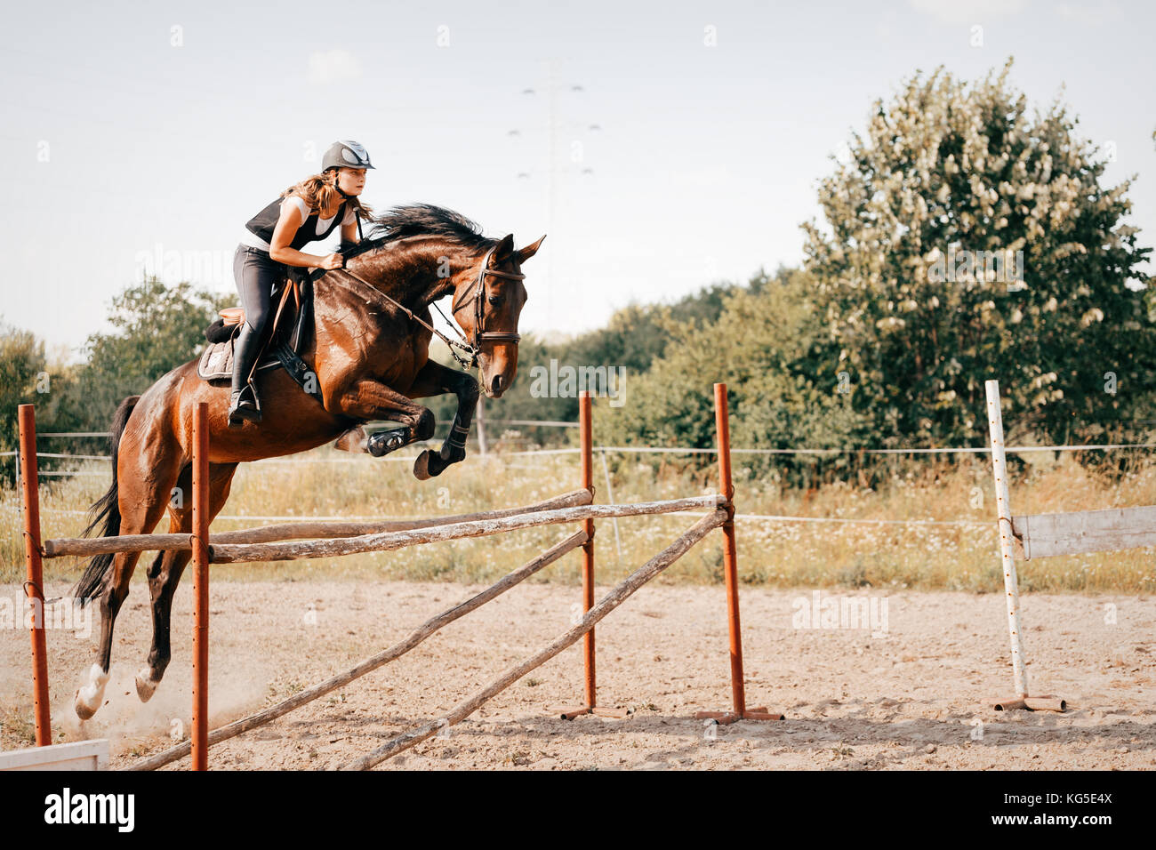Young female jockey on horse leaping over hurdle Stock Photo