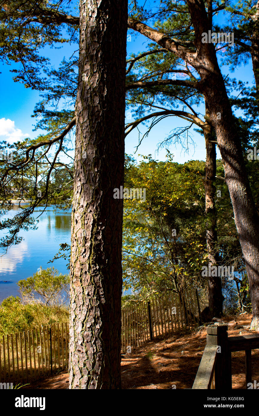 Vista, Great Neck Park, Shorehaven Drive, Virginia Beach, VA Stock