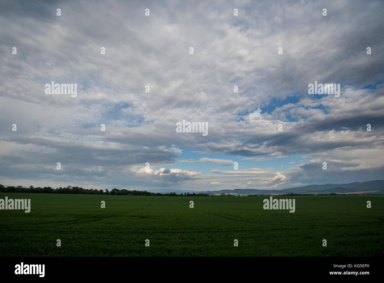 Dark dramatic landscape stormy sky over field Stock Photo - Alamy