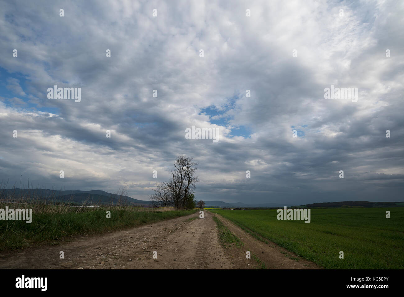 Dark dramatic landscape stormy sky over field Stock Photo - Alamy