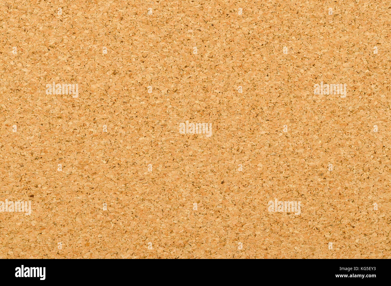 Cork sheet surface with fine texture, comprised of small grained cork oak, Quercus suber. Decorative panels and veneers, used as bulletin boards. Stock Photo