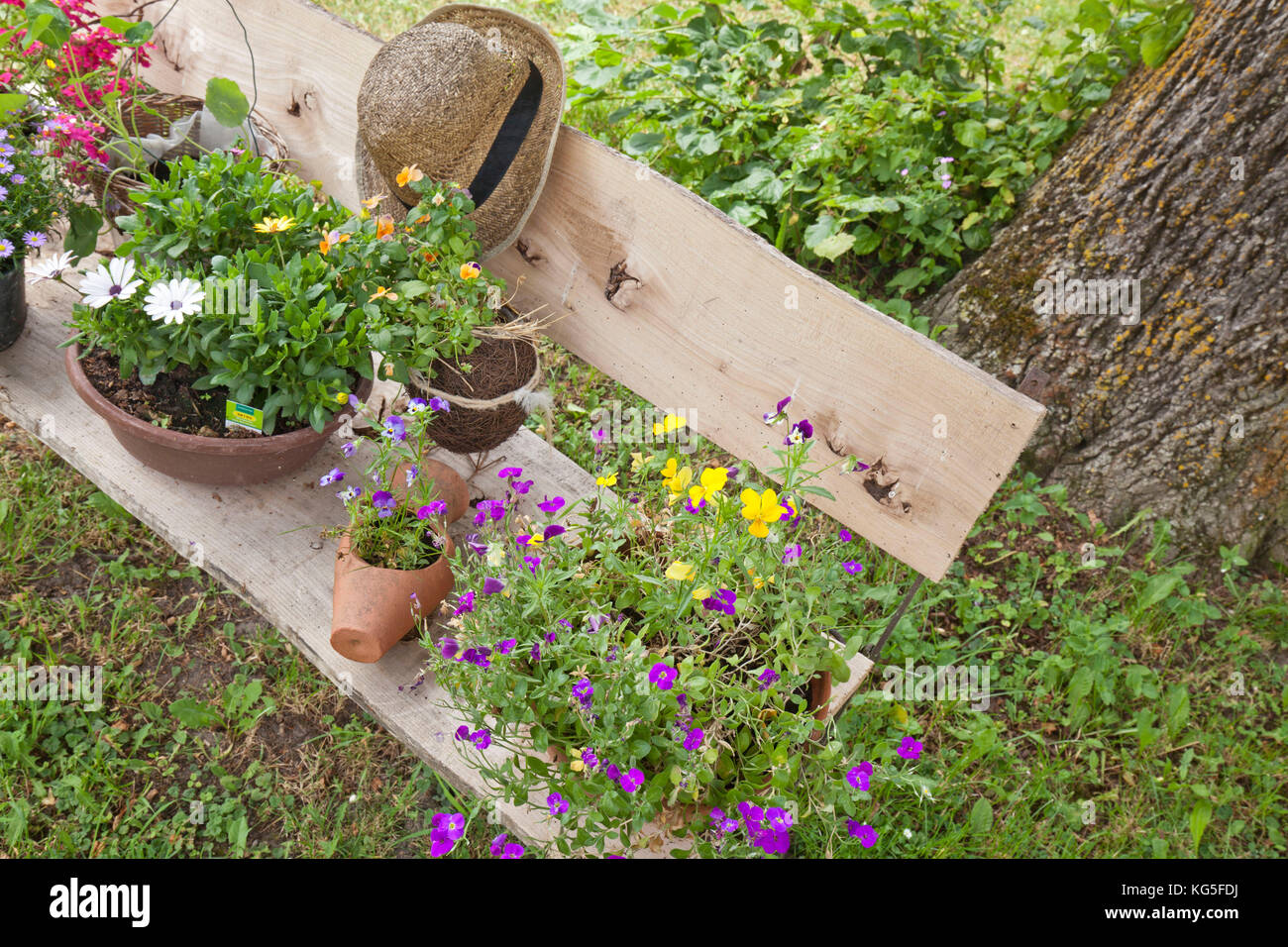 Flower bowls and straw hat on garden bench Stock Photo - Alamy