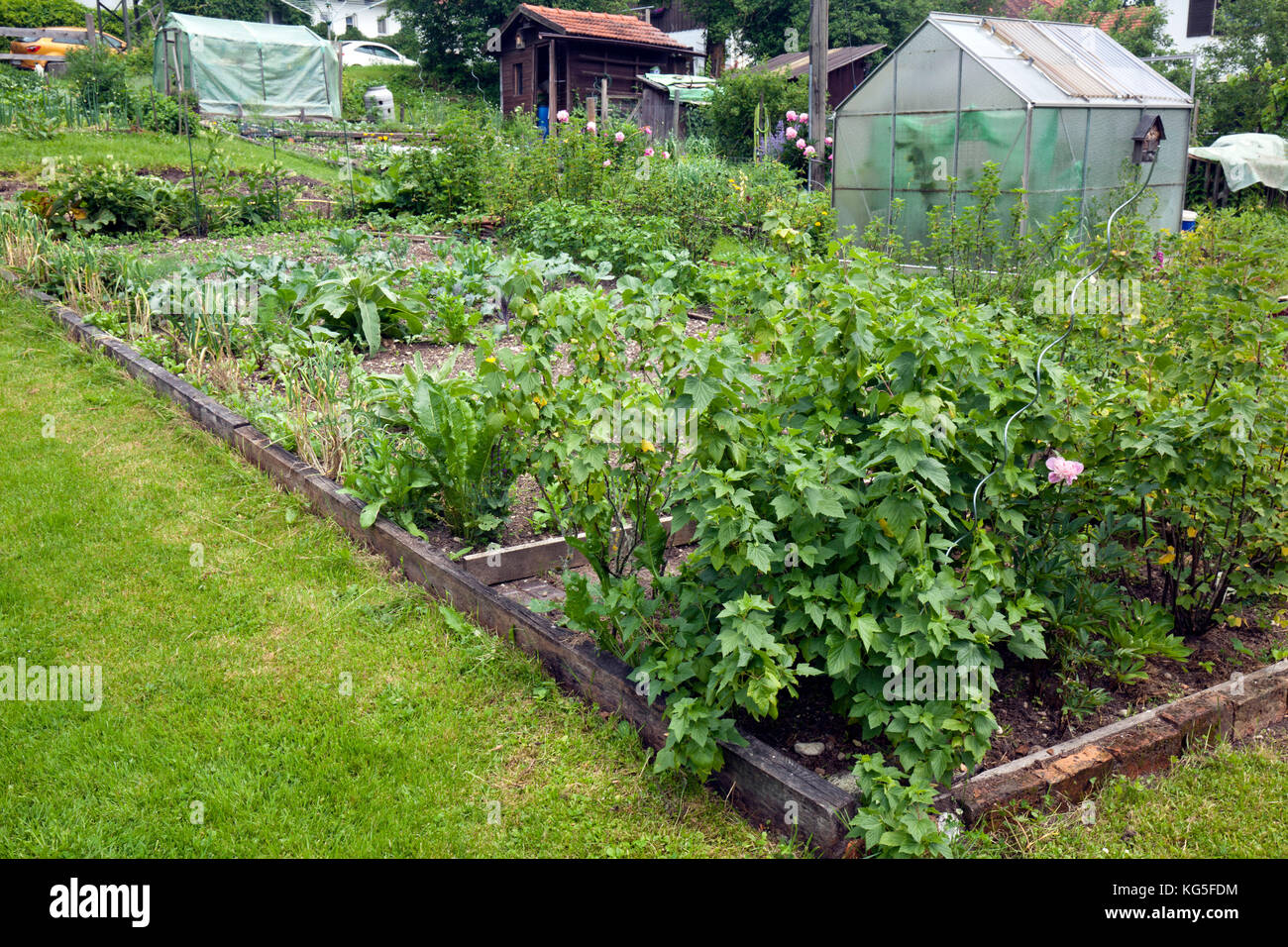 Vegetable garden with different patches Stock Photo: 164849712 - Alamy