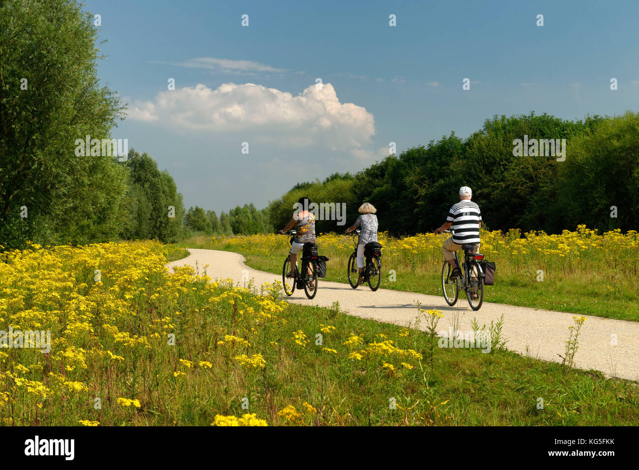 Cycle track on the 'Südsee' close Xanten close Xanten in the spring, Xanten, the Lower Rhine, North Rhine-Westphalia, Germany, Europe Stock Photo