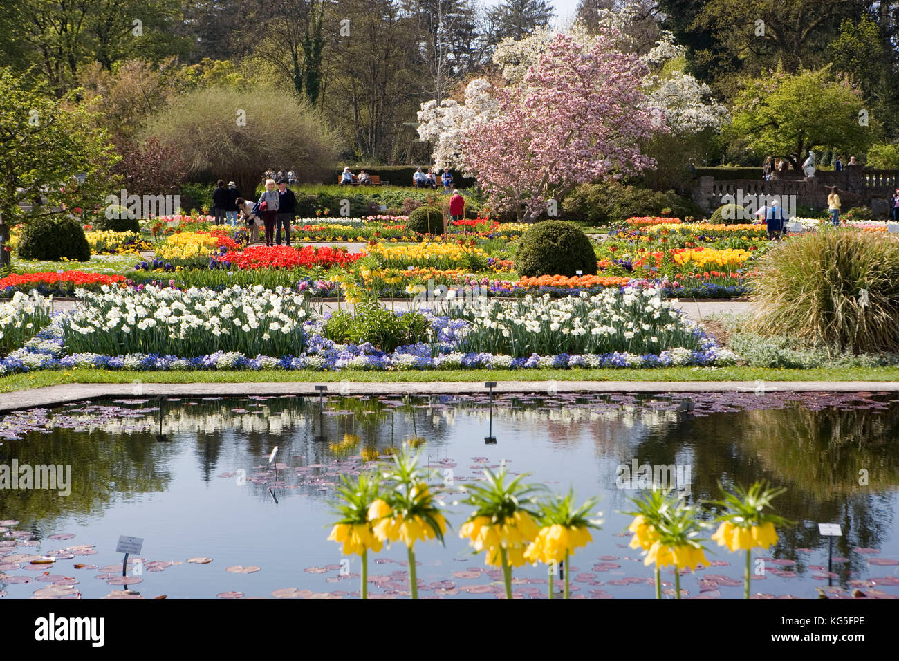 Botanischer Garten Munchen Nymphenburg Botanical Garden Approx