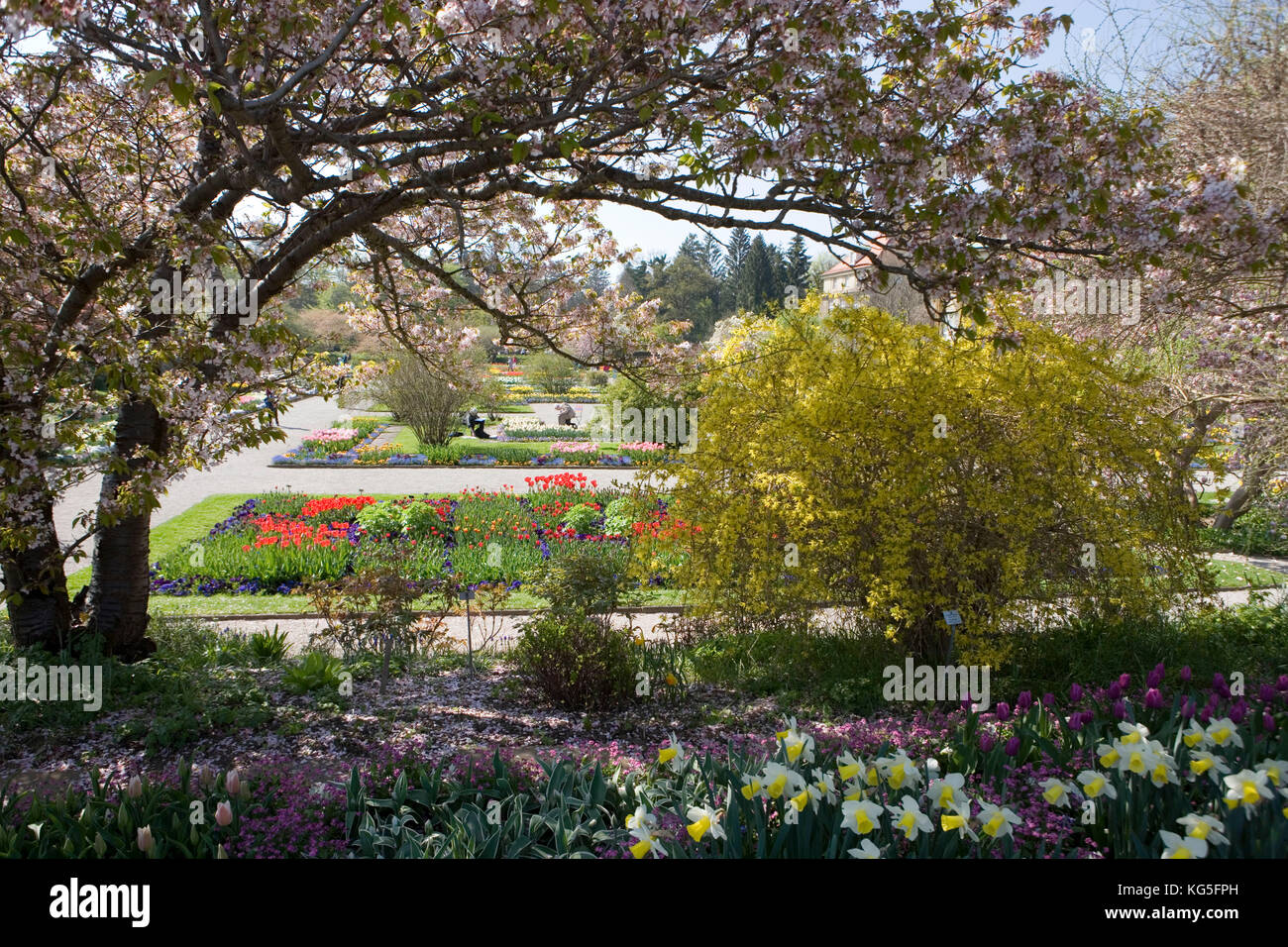 Botanischer Garten Botanical Gardens Stock Photos Botanischer