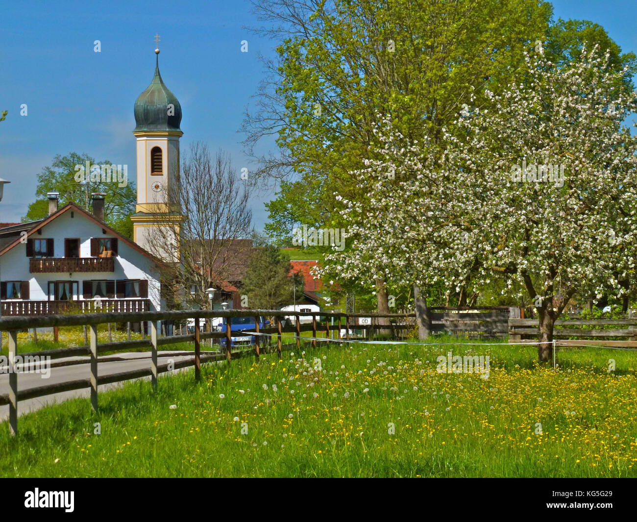 Germany, Bavaria, Froschhausen am Riegsee (lake), St. Leonhard church, street, residential houses, blooming fruit-tree, meadow, fences, blue heaven, spring Stock Photo