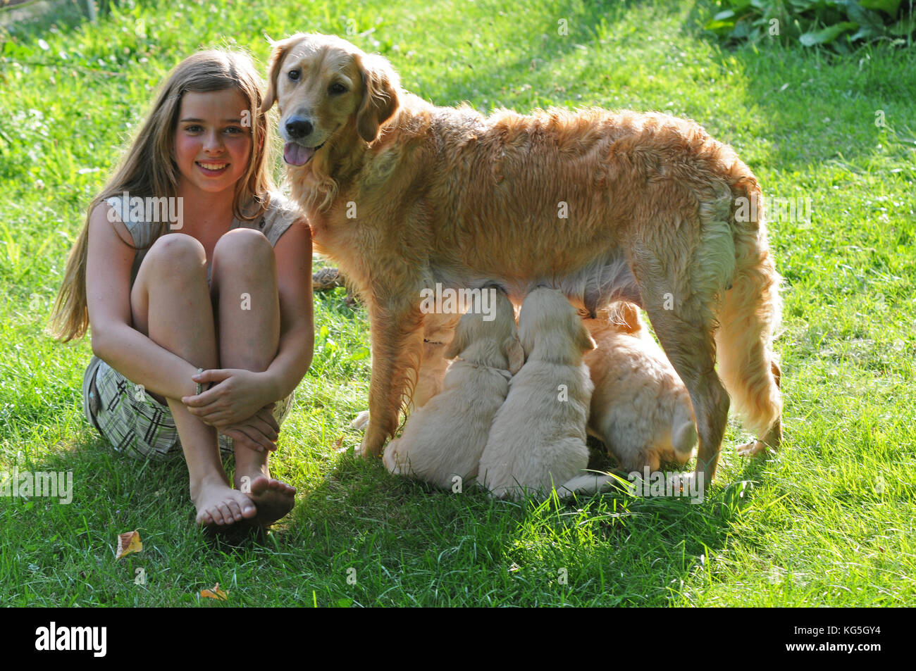 Girls with Golden retriever and dog puppies in the garden Stock Photo ...
