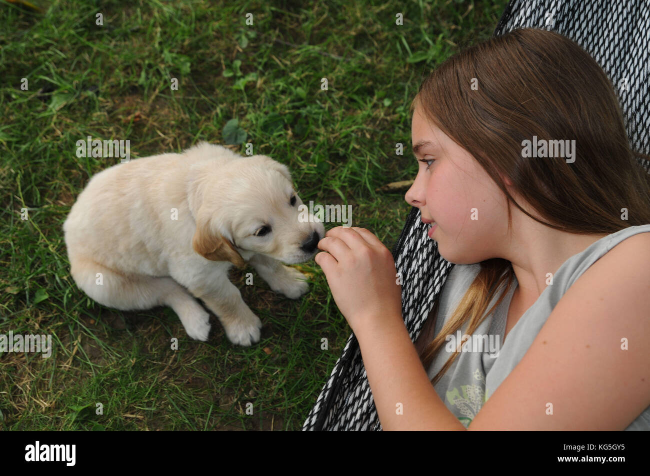 Girls with Golden retriever baby in the garden Stock Photo - Alamy