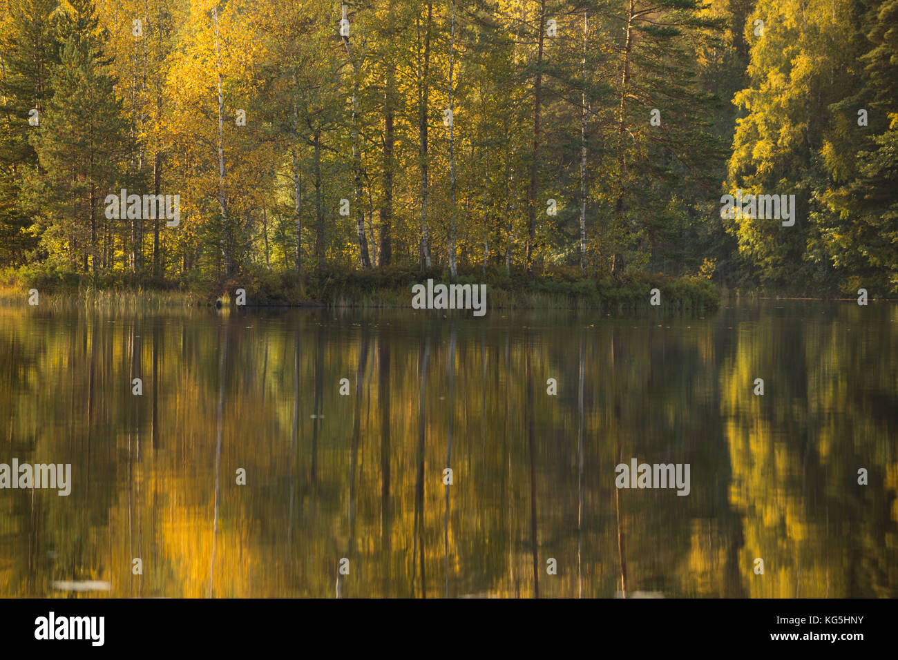 Autumn color reflections on the lake surface Stock Photo - Alamy