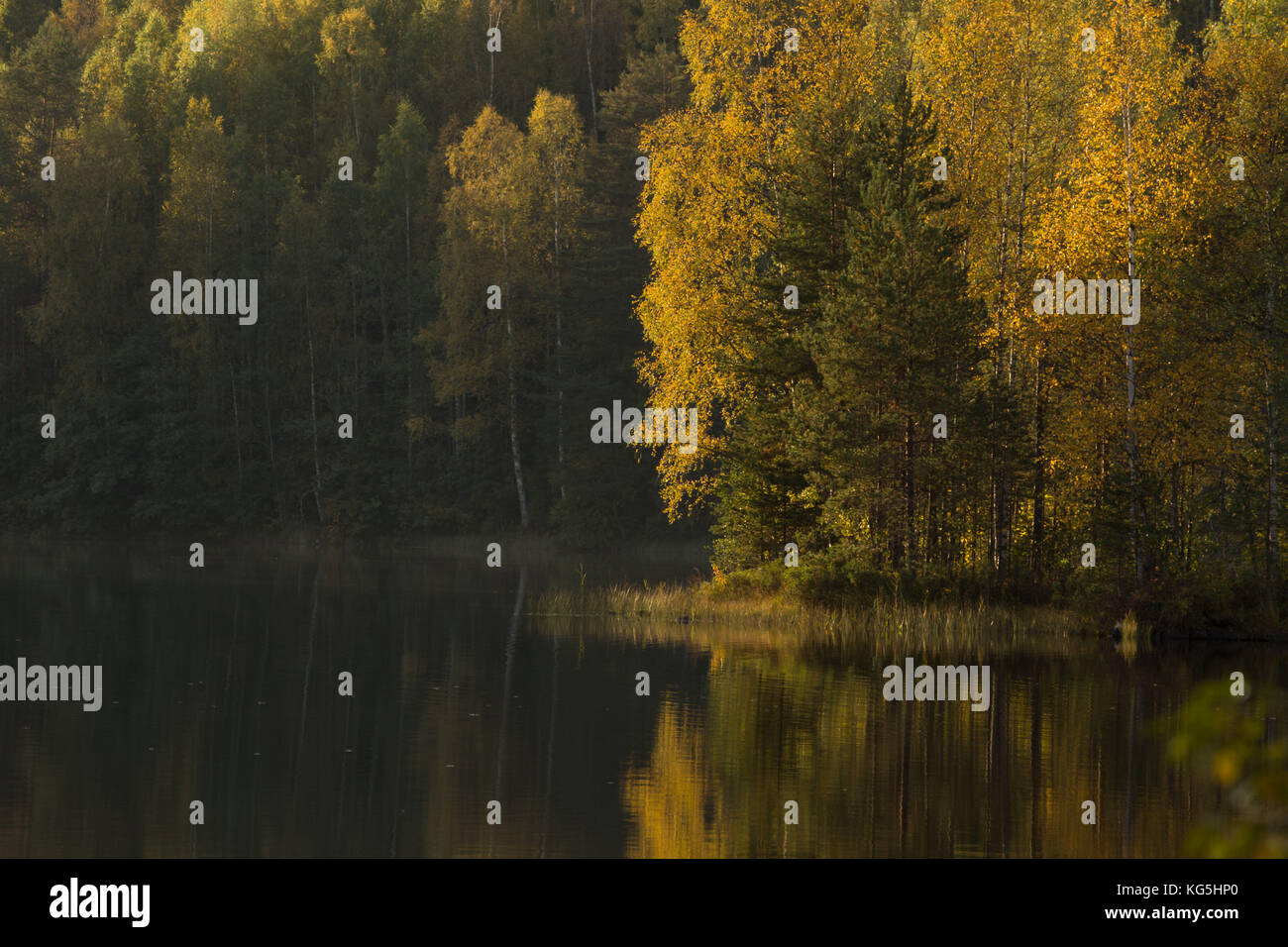 Autumn color reflections on the lake surface Stock Photo - Alamy