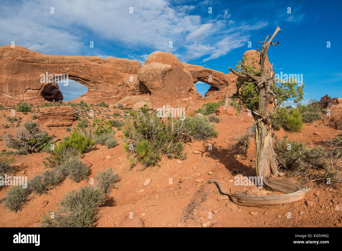 North and south window arch in the Arches National Park, Utah, USA Stock Photo