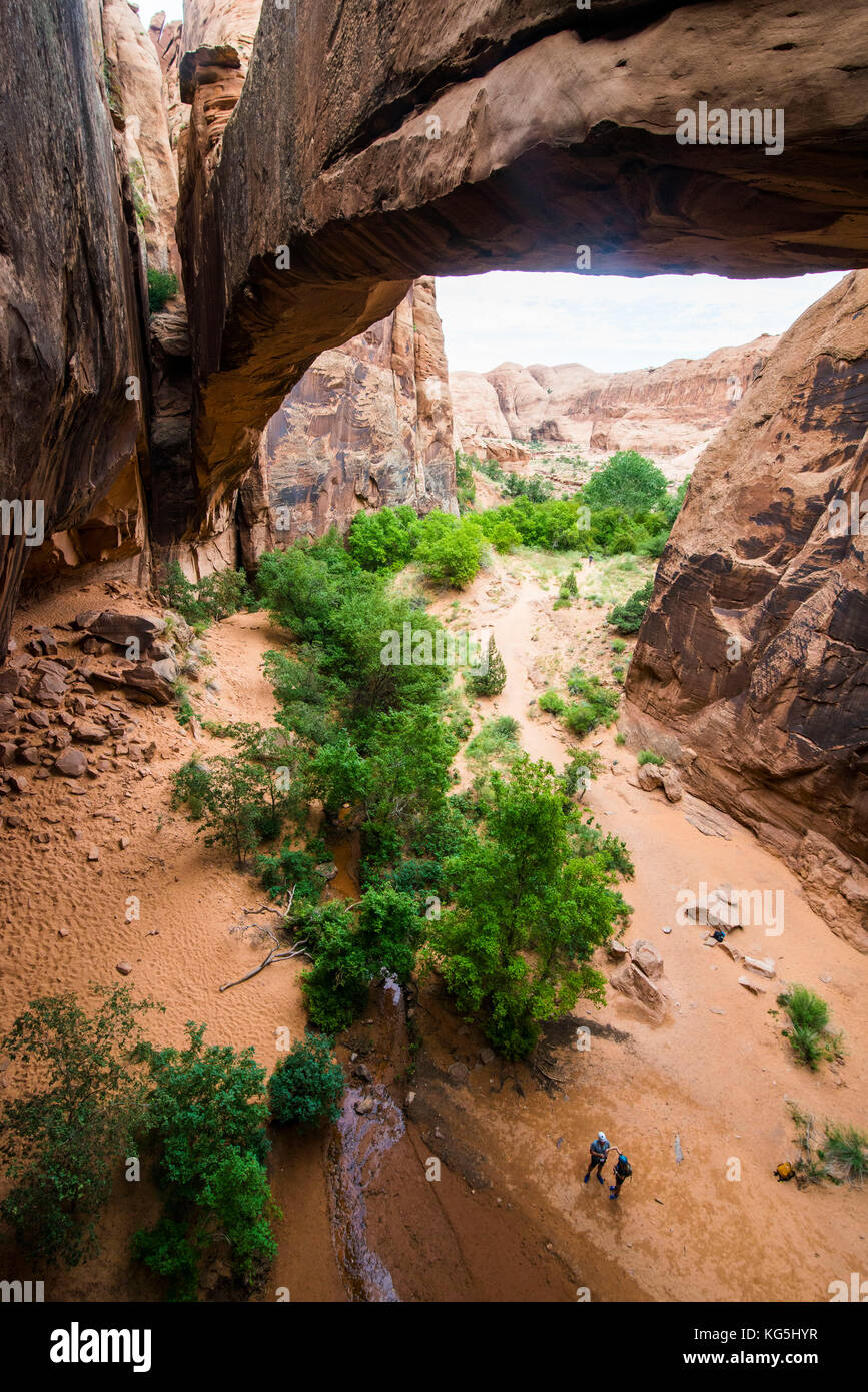 Giant arch in the desert near Moab, Utah, USA Stock Photo Alamy