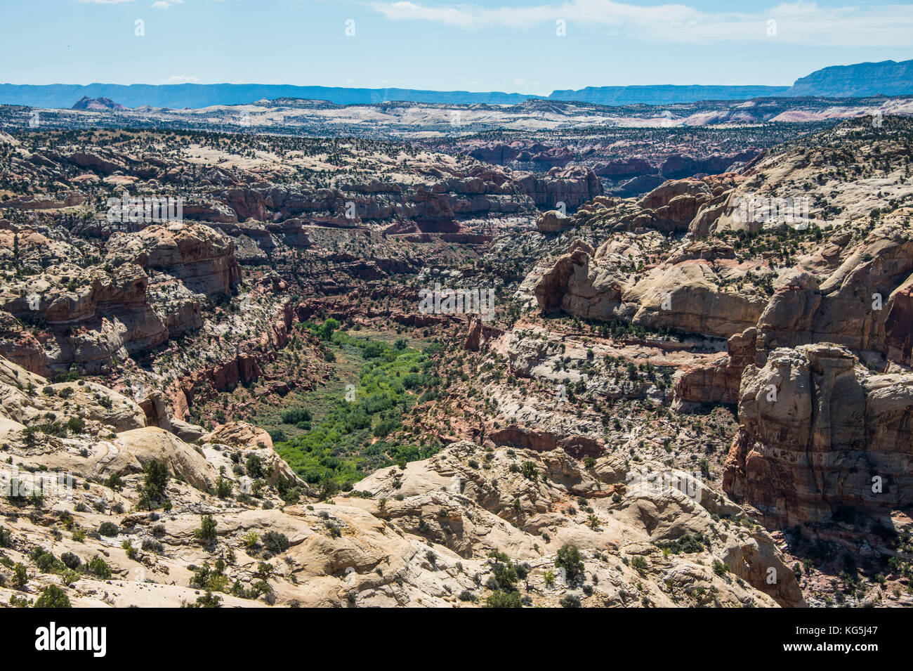 Overlook over the sandstone cliffs of the Grand Staircase Escalante National Monument, Utah, USA Stock Photo