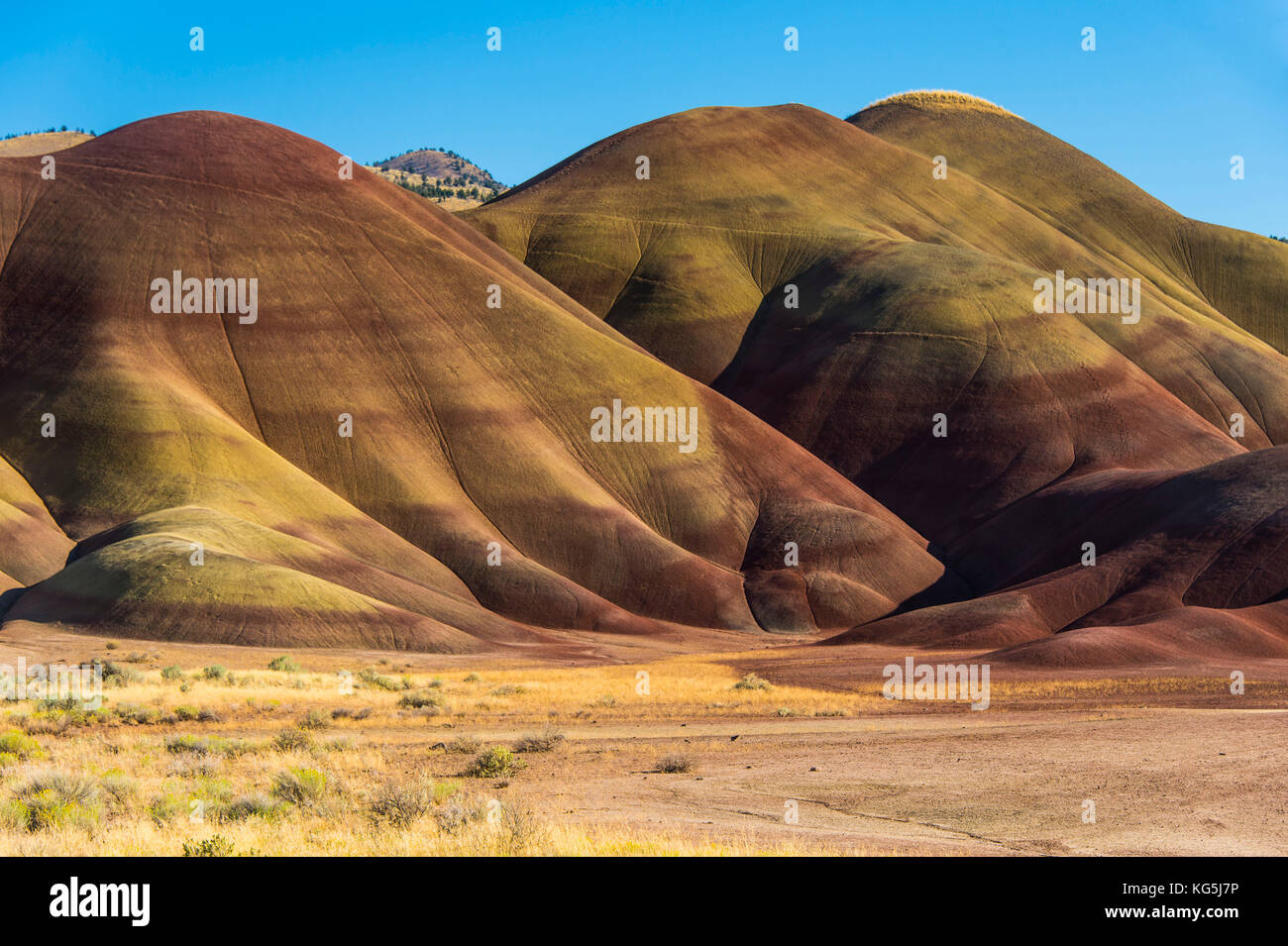 Multicoloured stratas in the Painted hills unit in the John Day fossil beds National Monument, Oregon, USA Stock Photo