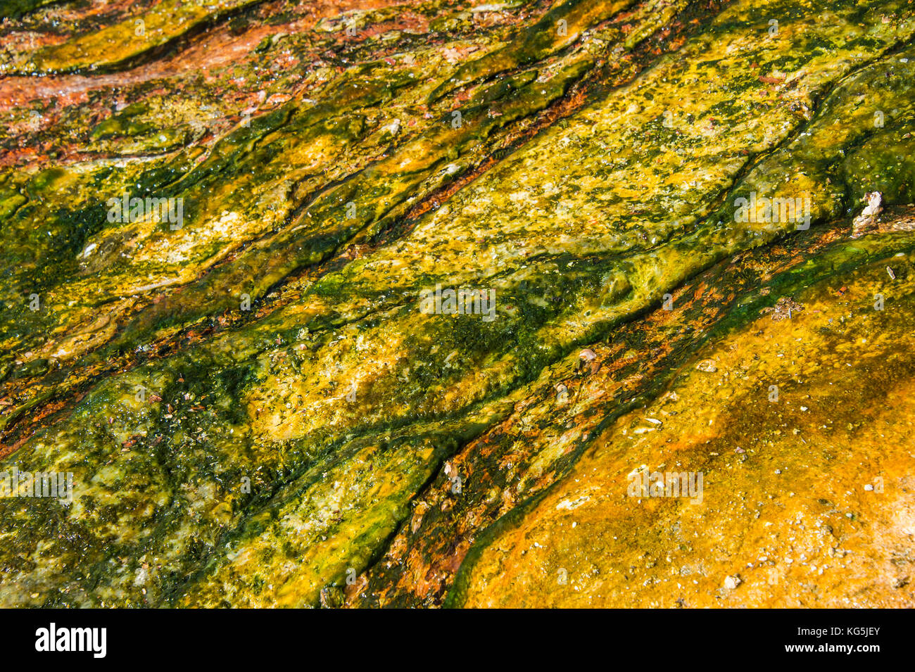 Colourful sulphur close up, Black sand basin, Yellowstone National Park, Wyoming, USA Stock Photo