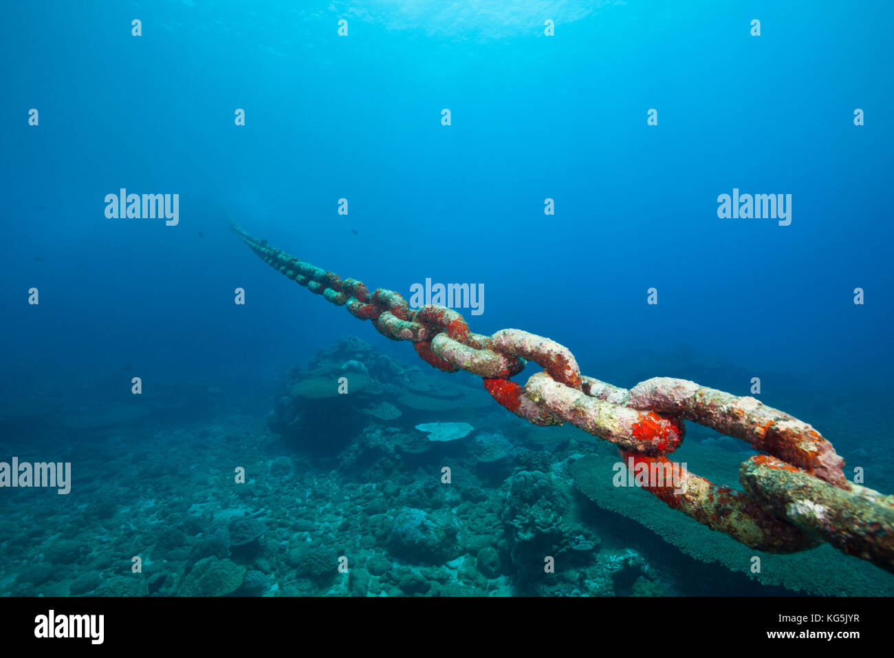 Chain of moored Buoy damages Reef, Christmas Island, Australia Stock Photo