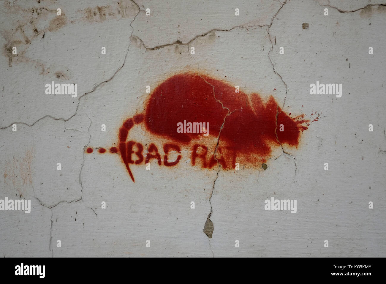 Europe, Czech Republic, Prague, wall, graffiti, stencil, bad rat Stock Photo
