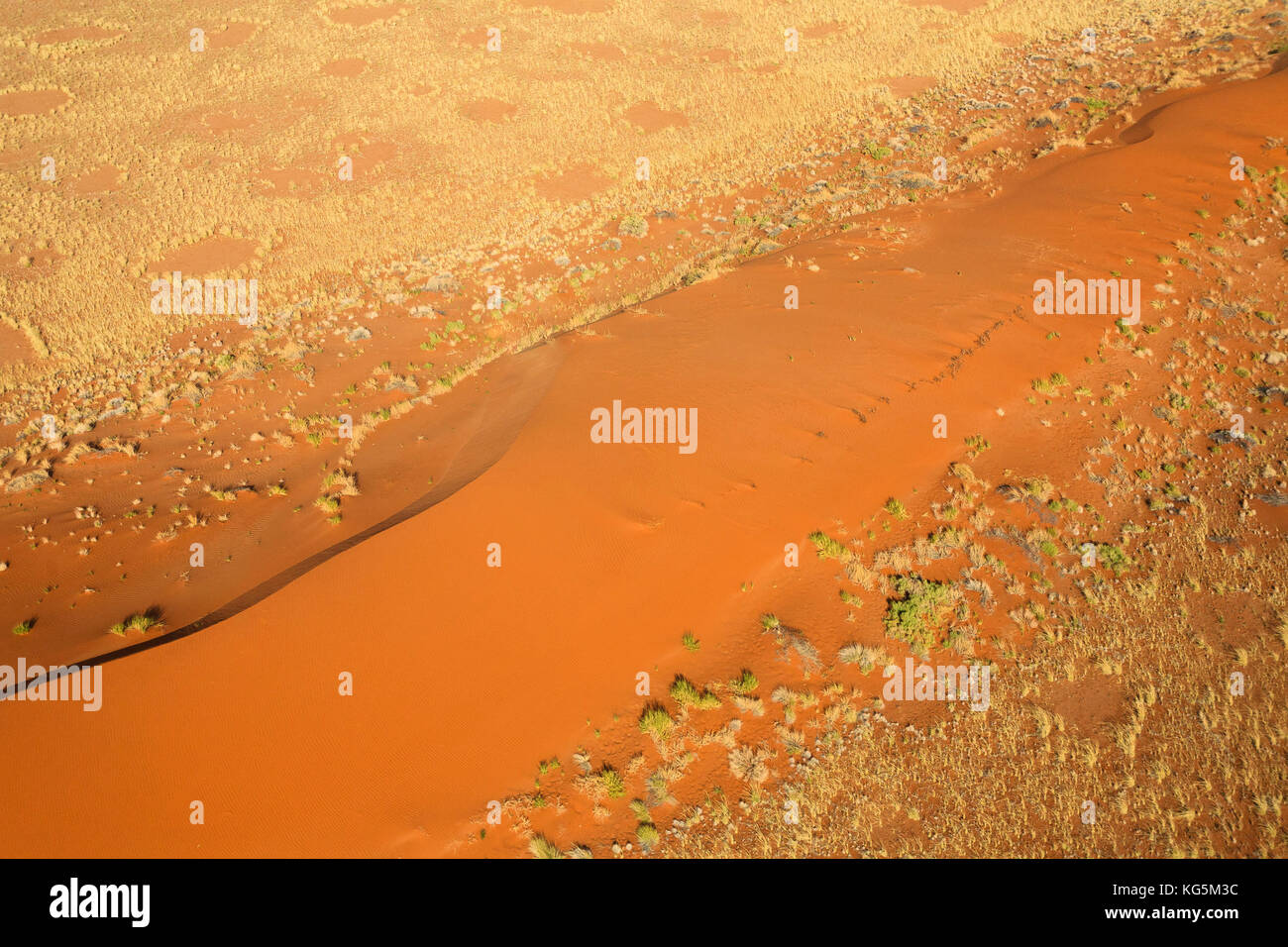 Aerial view of the typical red sand surrounded by plants in the dry landscape of Namib Desert Namibia Southern Africa Stock Photo