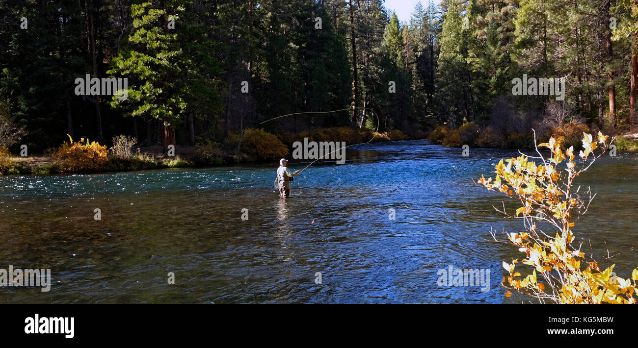 A flyfisherman casts a dry fly for rainbow trout in the Metolius river in the central Oregon Cascade Mountains. Man is not recognizable. Stock Photo