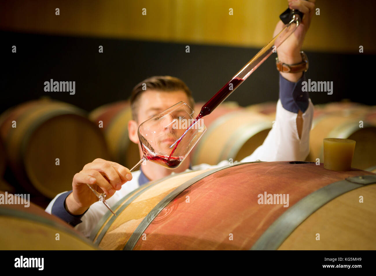 How to check the quality of wine at home 77 How to check the quality of wine at home 63
