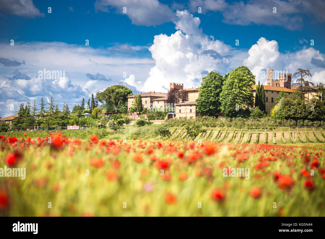 Typical, little village among Tuscany hills. Siena Contryside, Tuscany, Italy Stock Photo