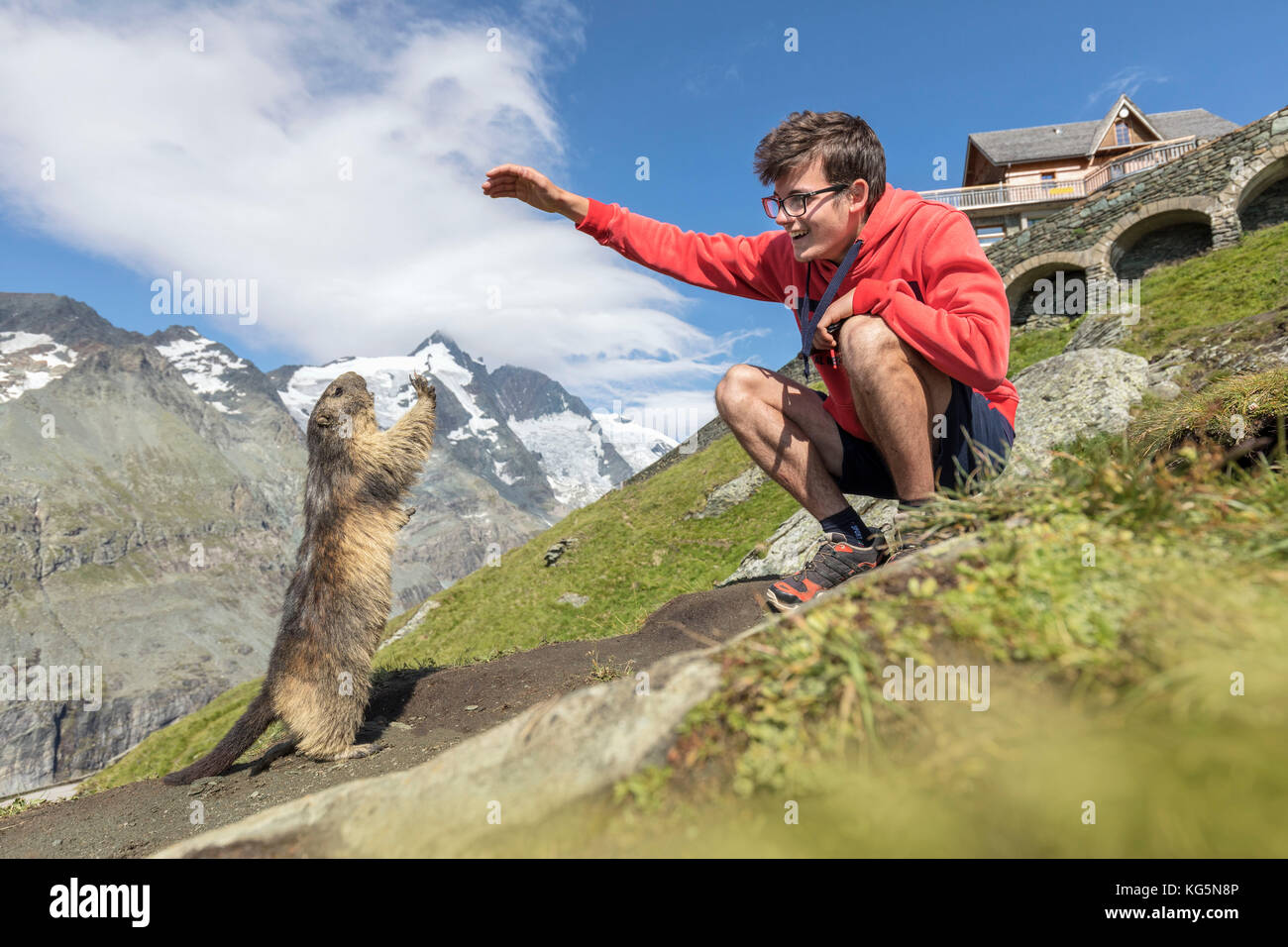 Man with an alpine marmot in front of Großglockner, High Tauern National Park, Carinthia, Austria Stock Photo