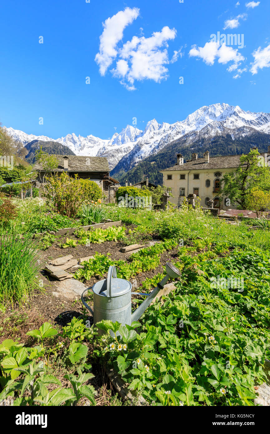 Vegetable gardens around the alpine village of Soglio Maloja canton of Graubunden Engadin Bregaglia Valley Switzerland Europe Stock Photo