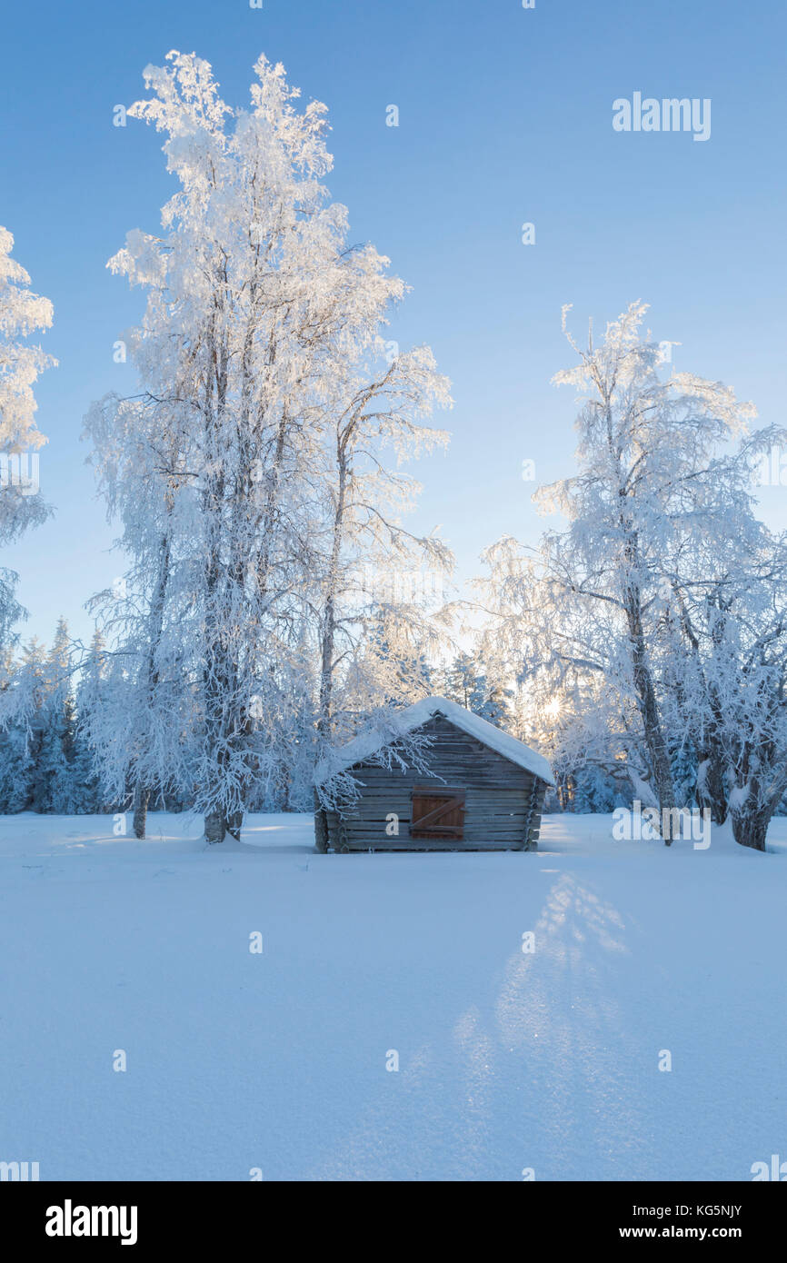 Wooden hut in the snowy forest, Kiruna, Norrbotten County, Lapland, Sweden Stock Photo