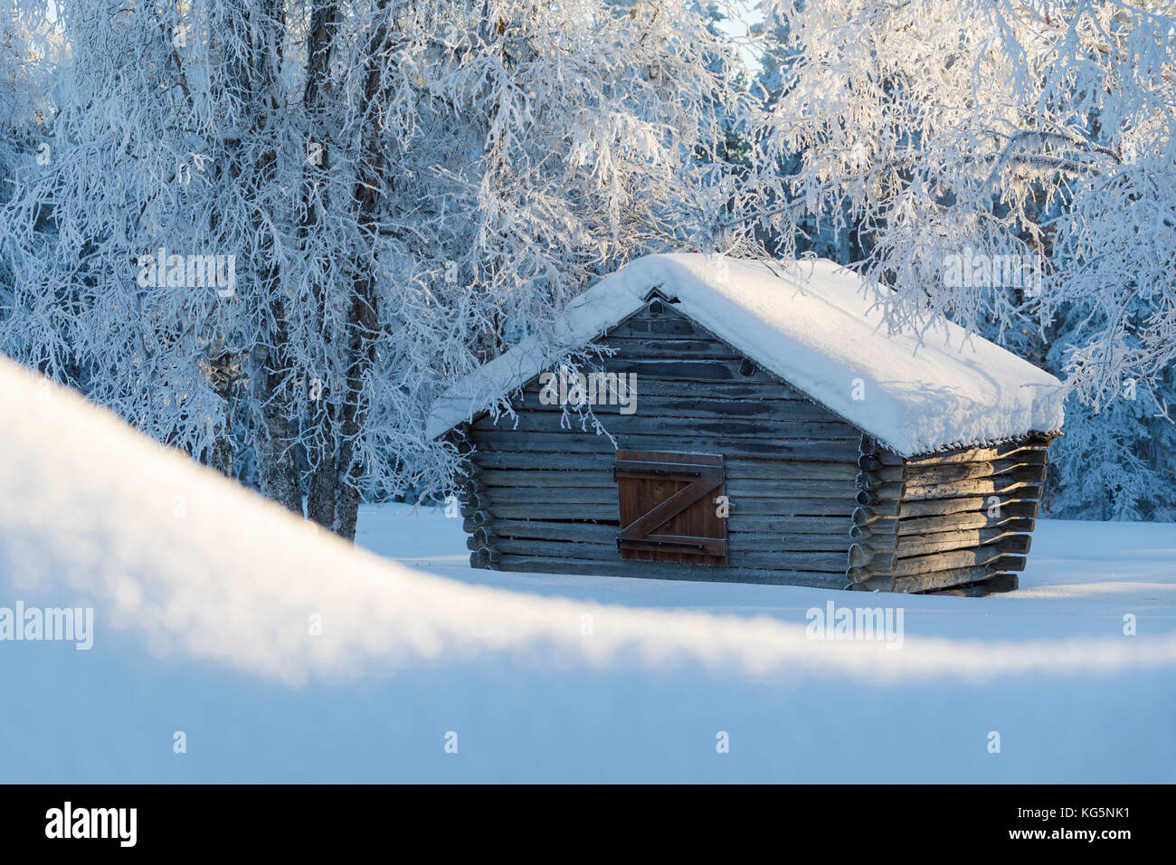 Wooden hut in the snowy forest, Kiruna, Norrbotten County, Lapland, Sweden Stock Photo