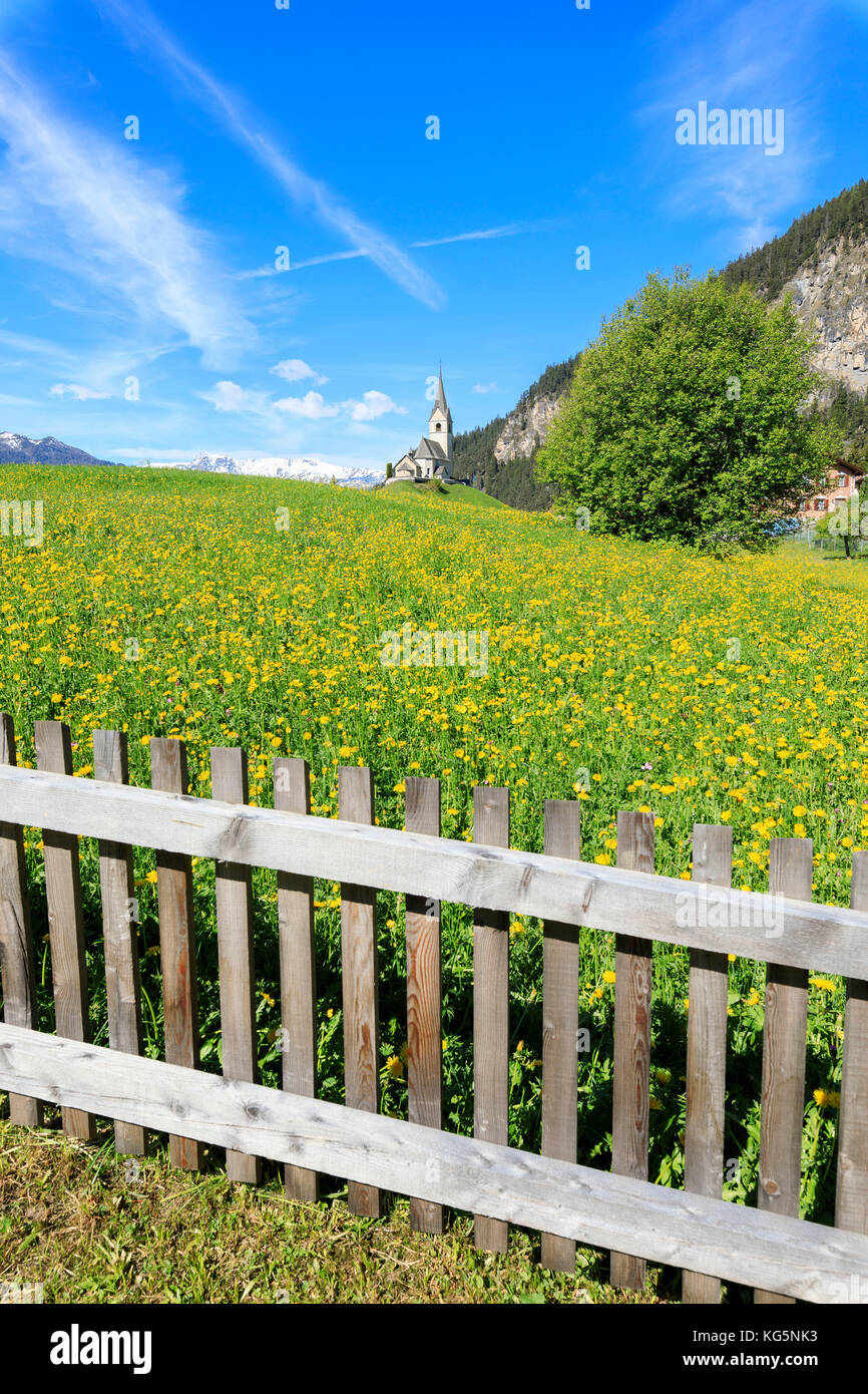 Wood fence and flowers, Schmitten, Canton of Graubünden, district of Albula, Switzerland Stock Photo